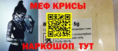 индика Обнинск