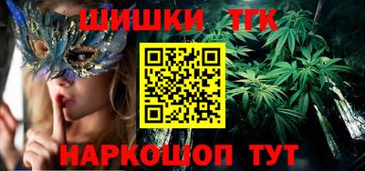 индика Обнинск