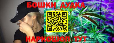 индика Обнинск