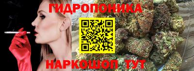 индика Обнинск