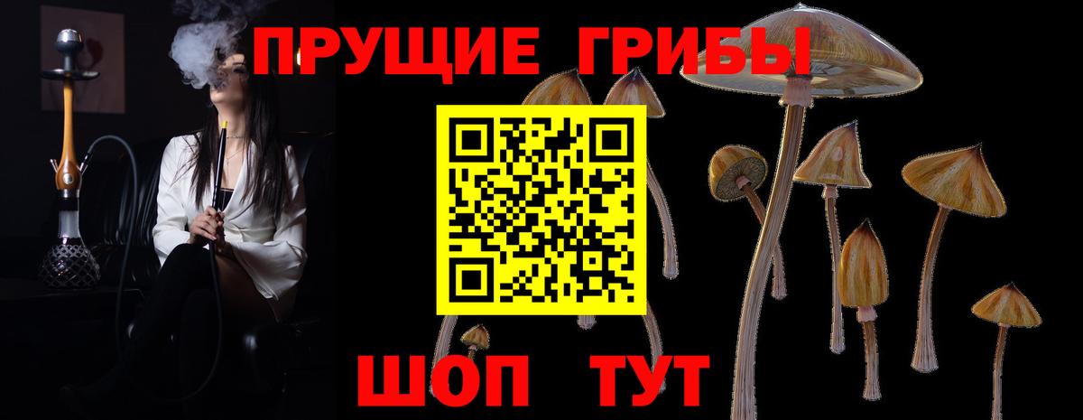 Псилоцибиновые грибы прущие грибы Тара