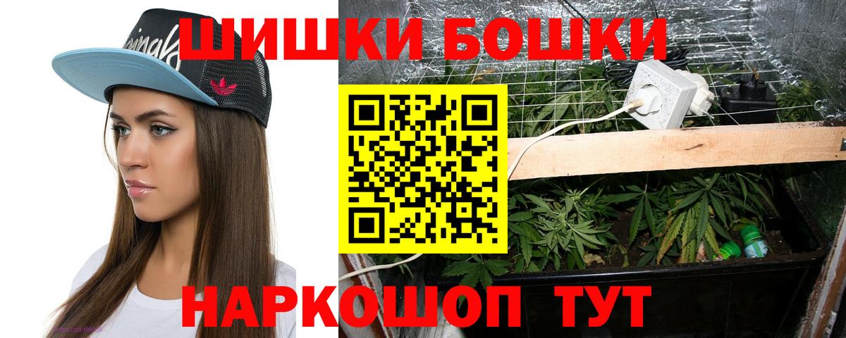 Бошки Шишки конопля Тара